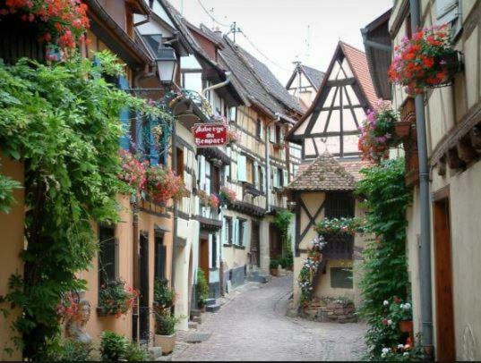 Duplex Saint Lustre, View Over Castle And Storks, 5 Mn From Colmar Eguisheim Exteriör bild