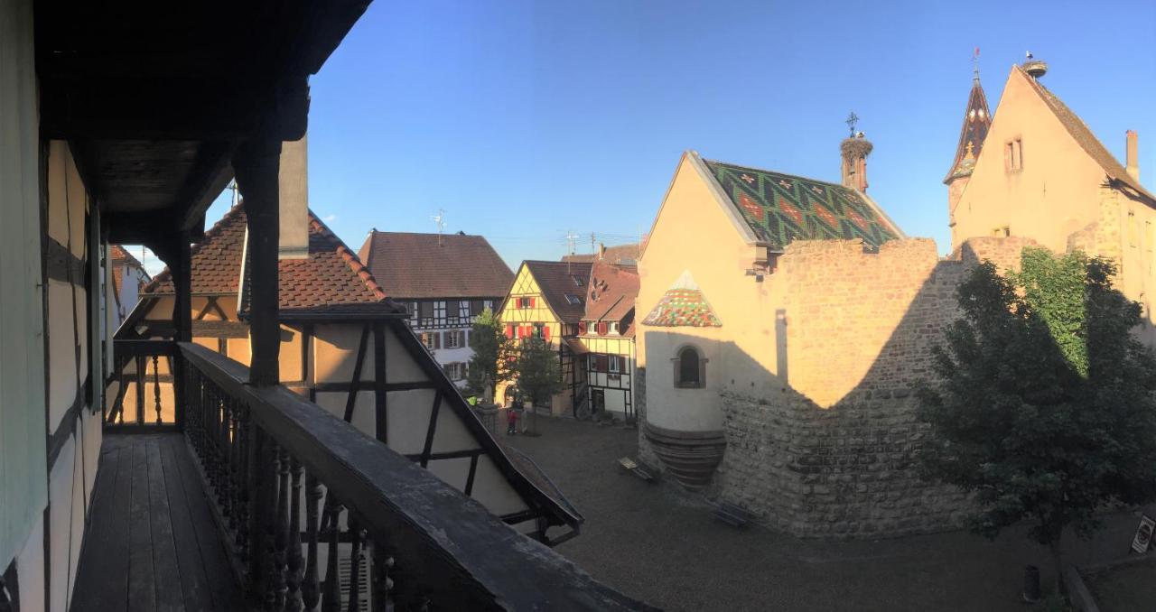 Duplex Saint Lustre, View Over Castle And Storks, 5 Mn From Colmar Eguisheim Exteriör bild